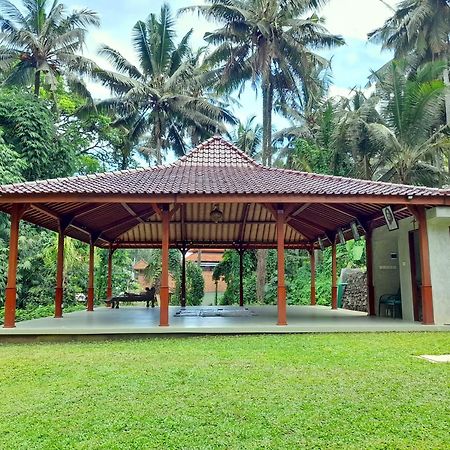 As I Am Ubud Retreat ภายนอก รูปภาพ