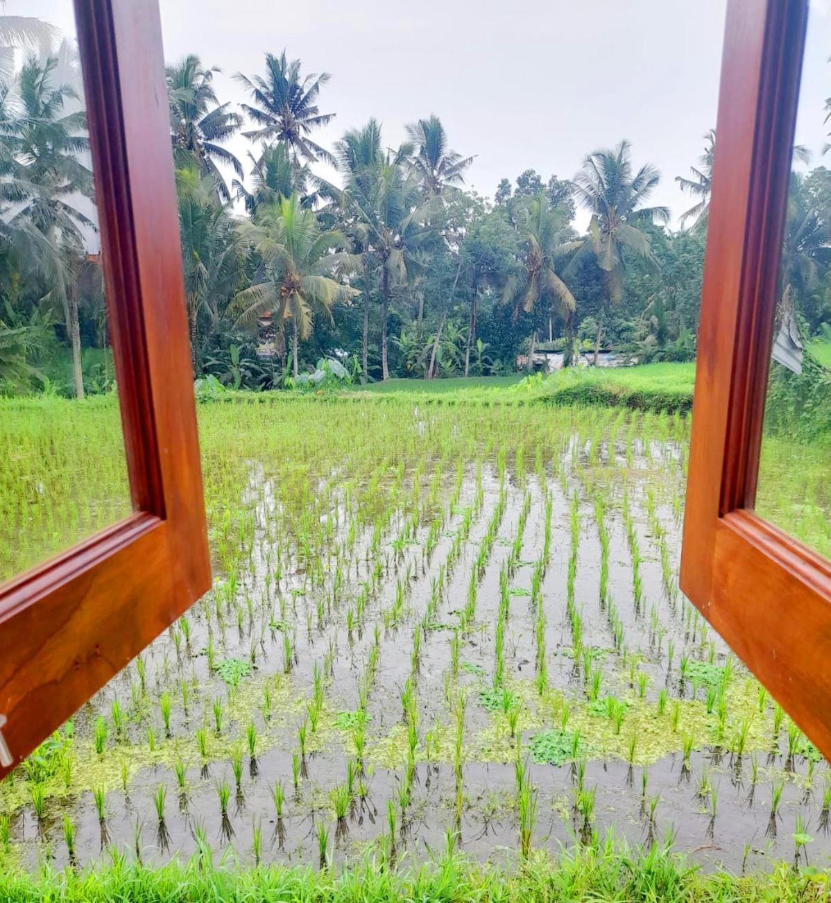 As I Am Ubud Retreat ห้อง รูปภาพ