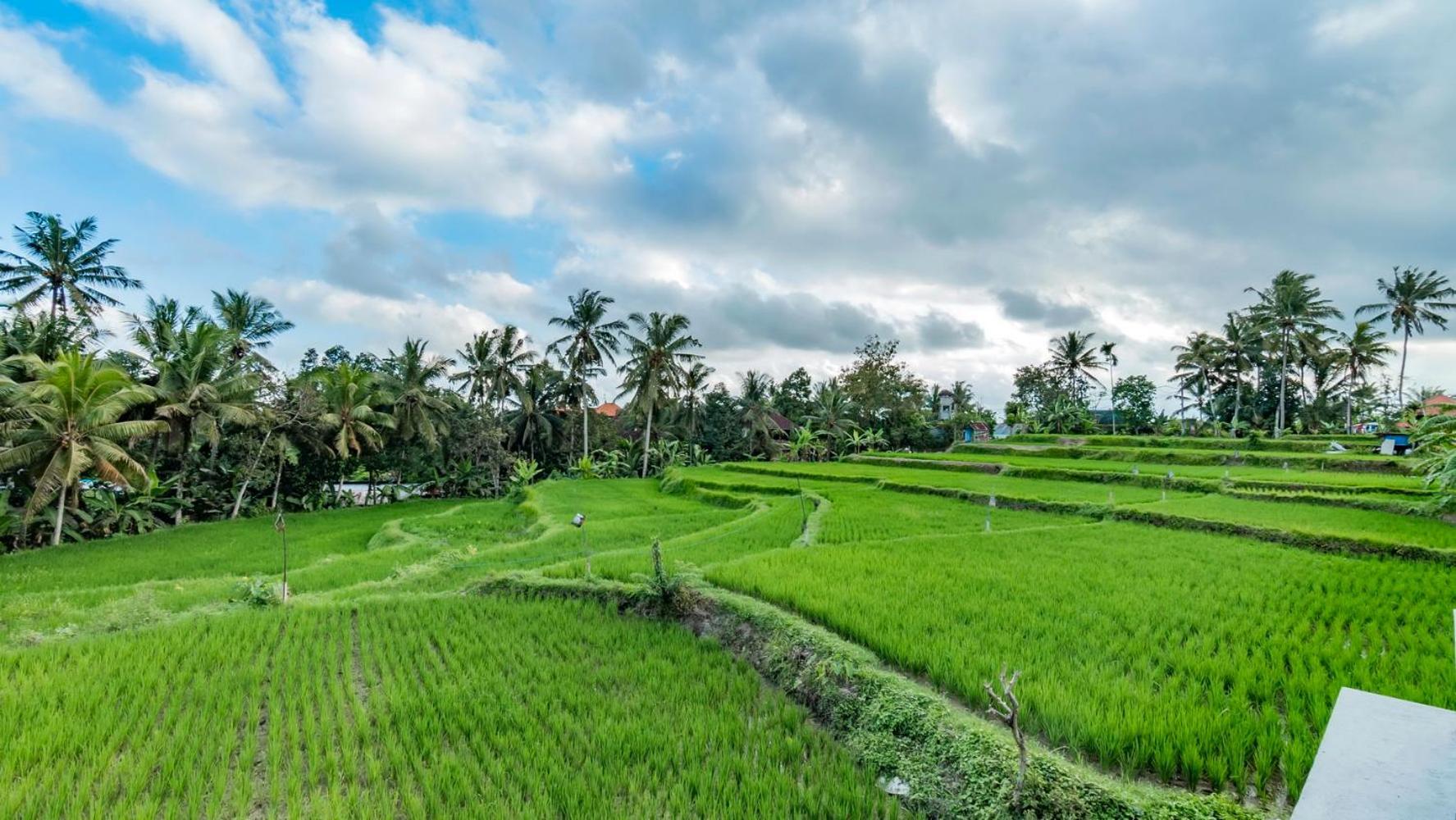 As I Am Ubud Retreat ภายนอก รูปภาพ