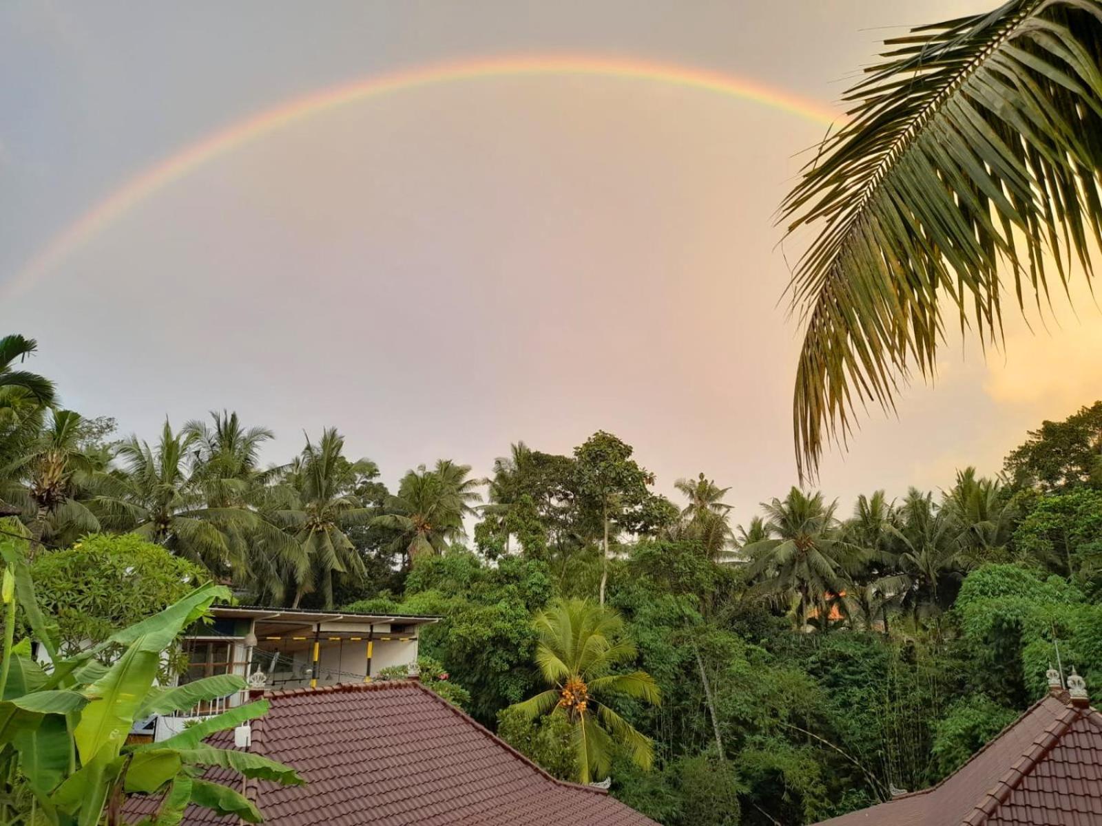 As I Am Ubud Retreat ภายนอก รูปภาพ