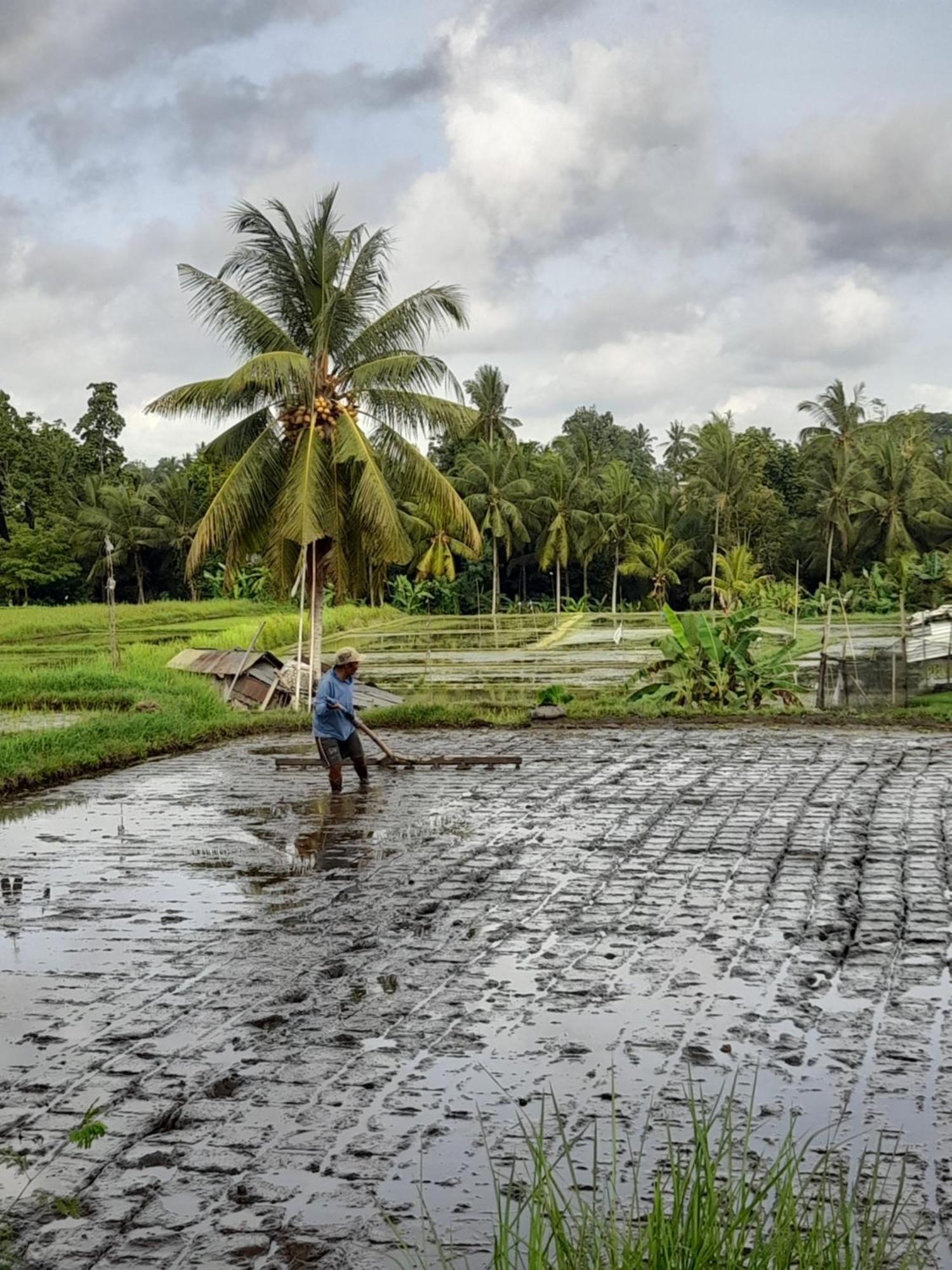As I Am Ubud Retreat ภายนอก รูปภาพ