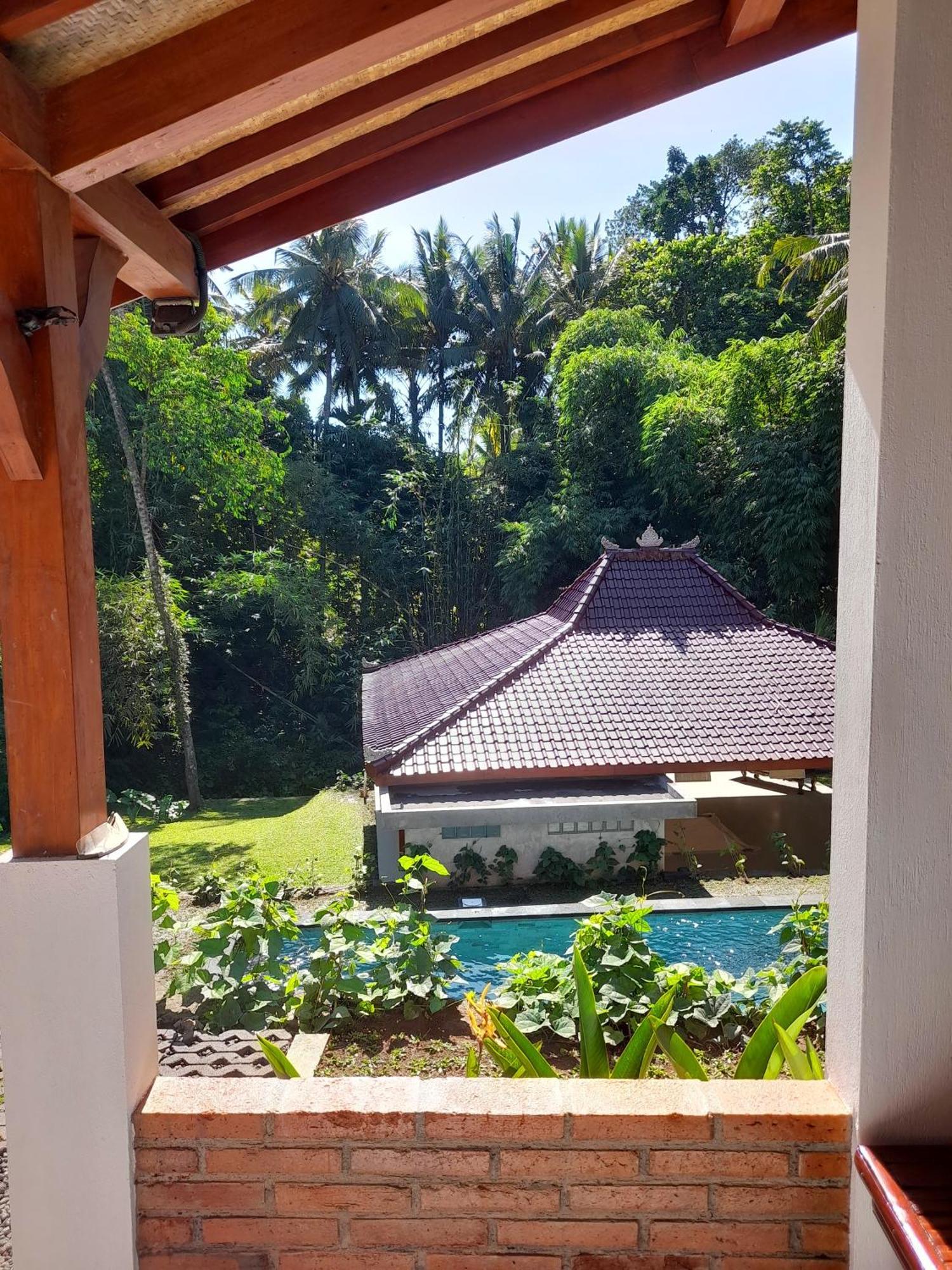 As I Am Ubud Retreat ภายนอก รูปภาพ